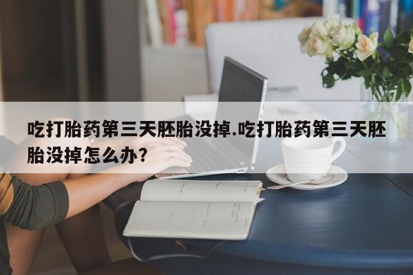 药流药如何购买吃打胎药第三天胚胎没掉.吃打胎药第三天胚胎没掉怎么办？