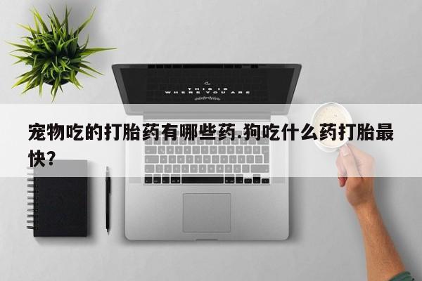 药流药如何购买宠物吃的打胎药有哪些药.狗吃什么药打胎最快？