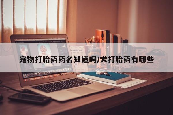 药流药如何购买宠物打胎药药名知道吗/犬打胎药有哪些