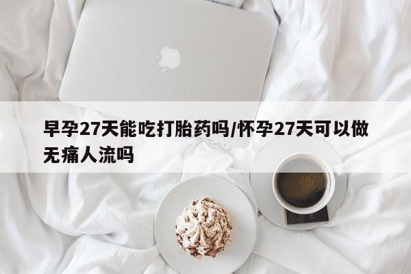 药流药如何购买早孕27天能吃打胎药吗/怀孕27天可以做无痛人流吗