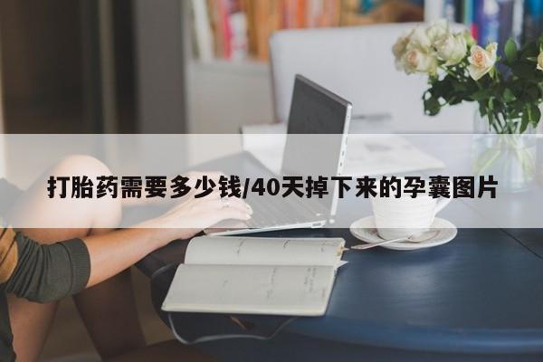 药流药如何购买打胎药需要多少钱/40天掉下来的孕囊图片