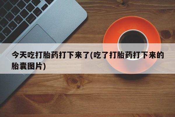 药流药如何购买今天吃打胎药打下来了(吃了打胎药打下来的胎囊图片)